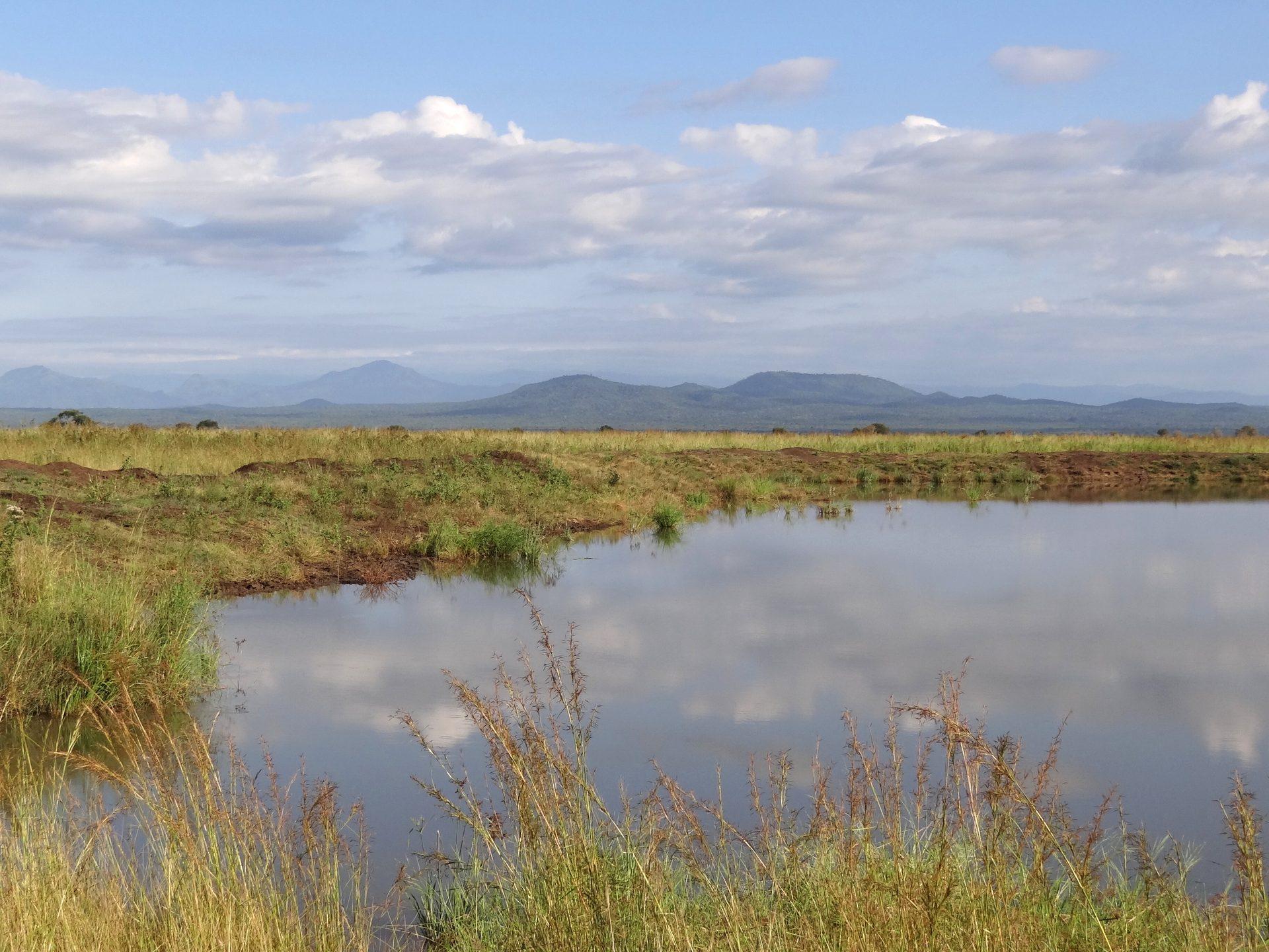 Mikumi National Park