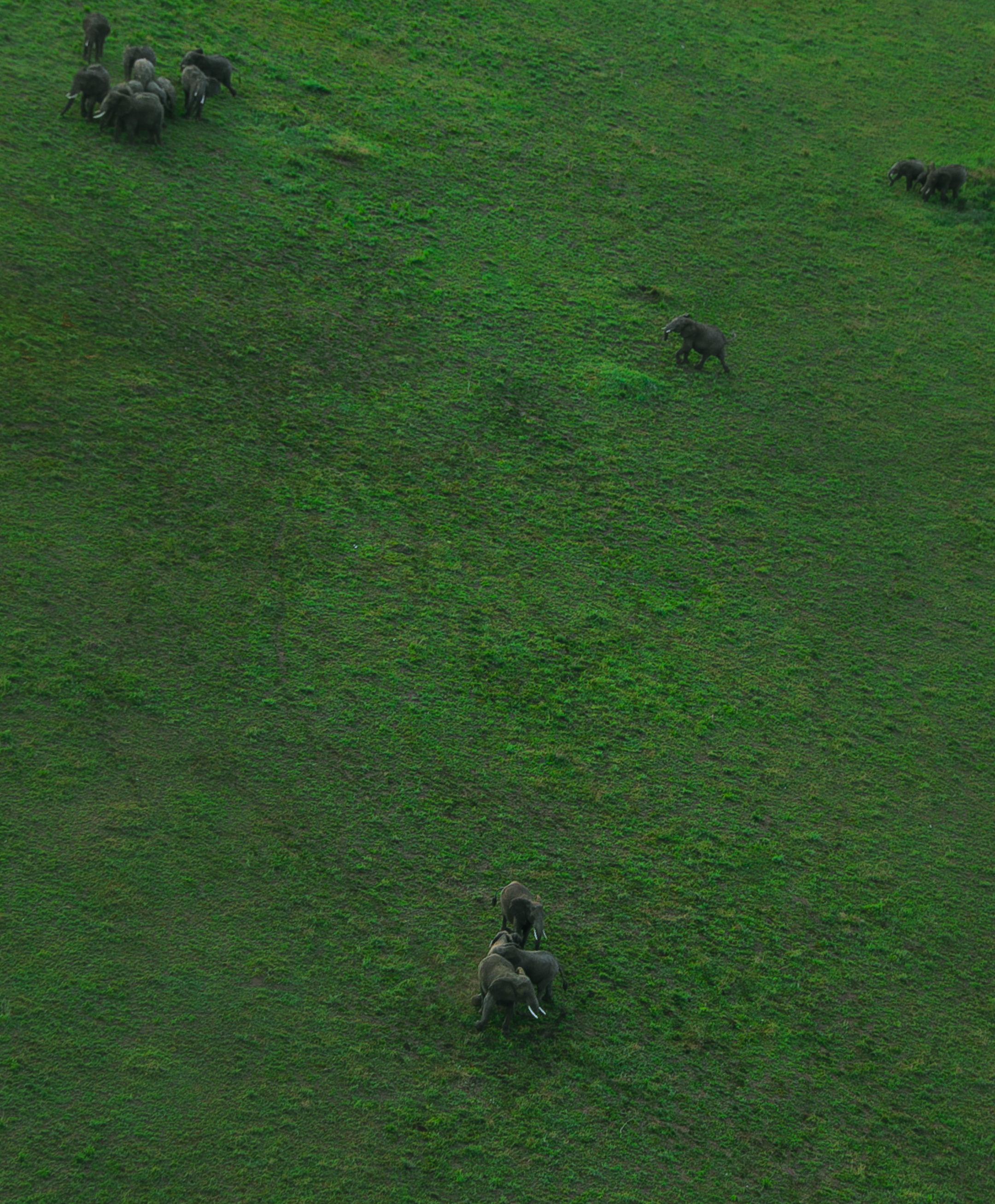 Tarangire National Park