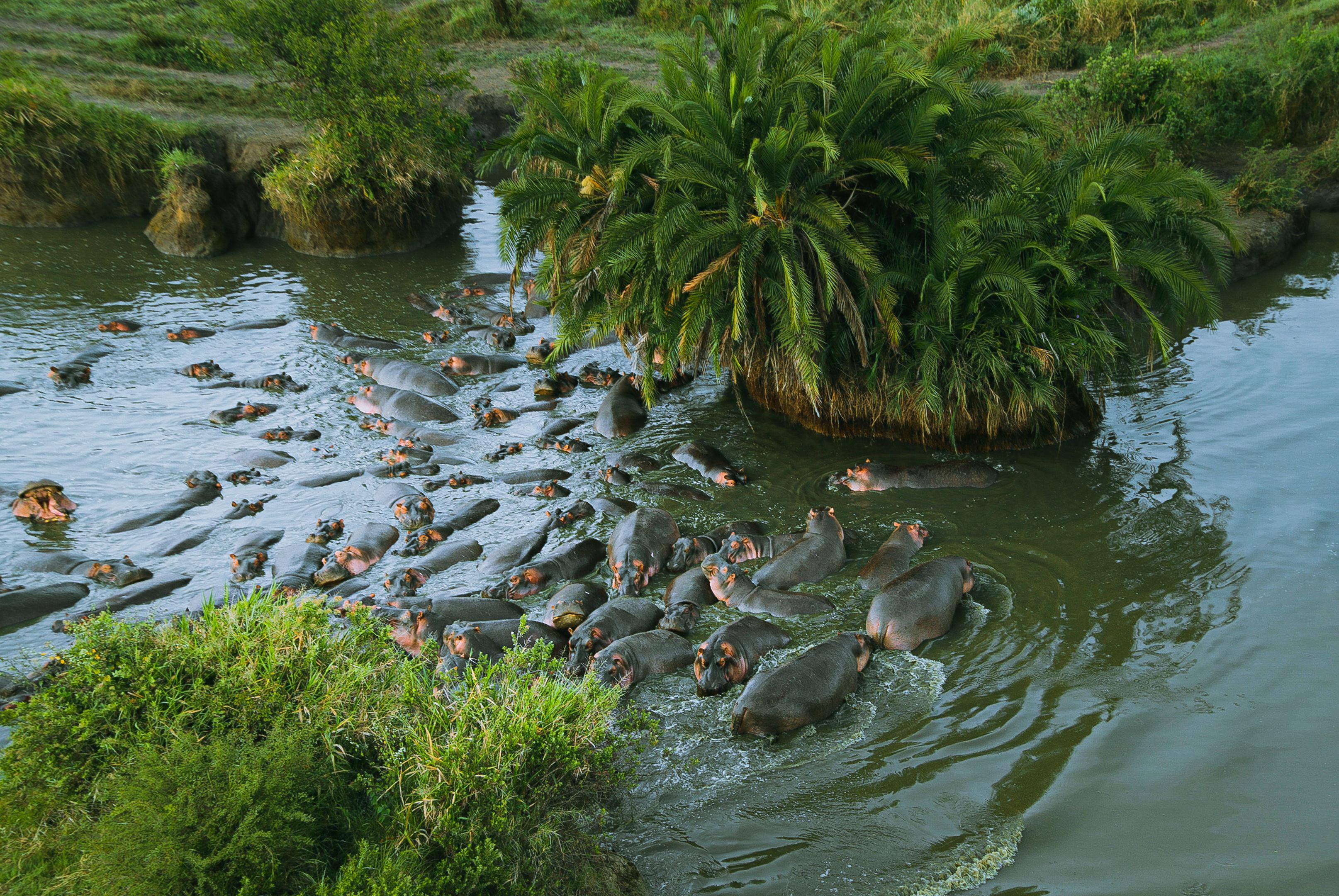 Ngorongoro Crater & Tarangire Walking Safari