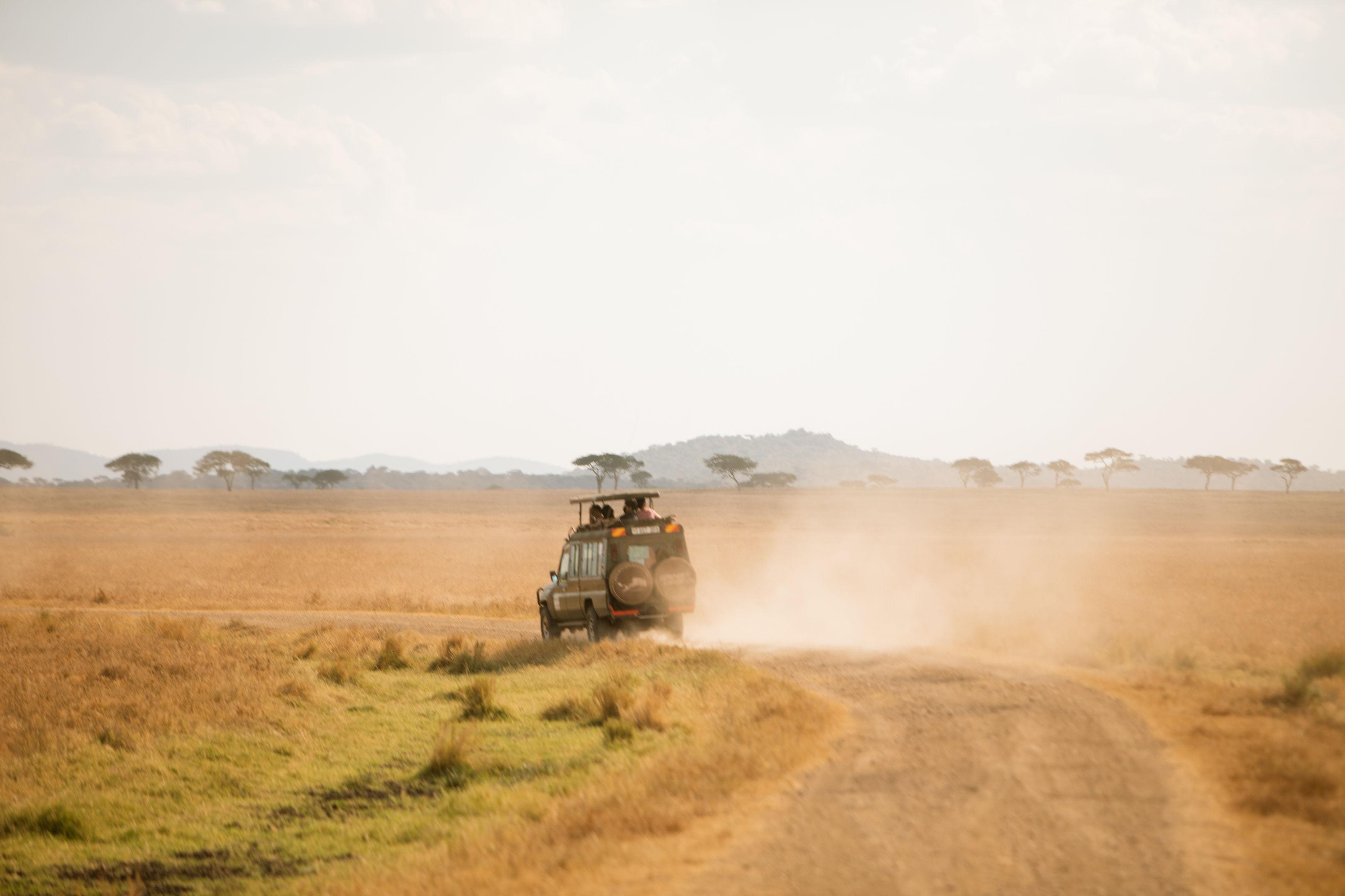 Safari vehicle raising dust on a Serengeti plains track at sunset