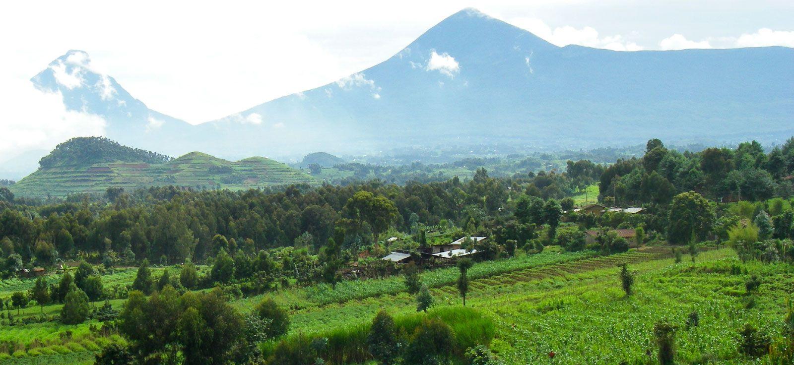 Gisakura Guest House